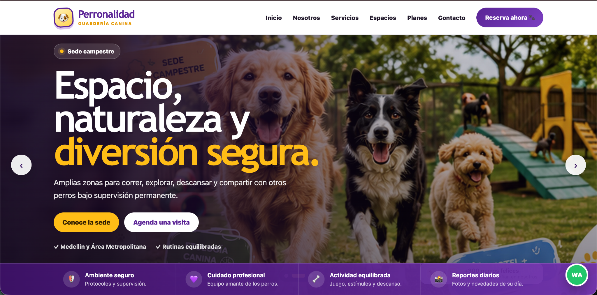 Perronalidad Purple